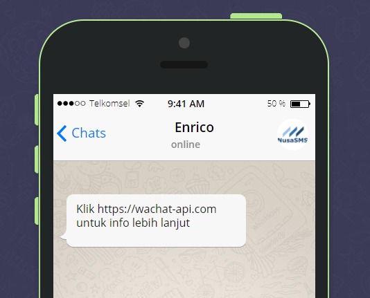 Mengapa Pesan Link Pada WhatsApp Tidak Bisa Diklik